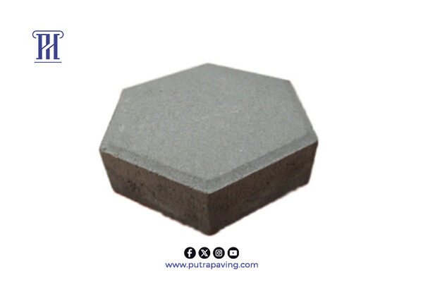 Paving Block Hexagon Paving Block Hexagon